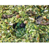 mate green energy Yerba Mate Tee Green Energy - Energia 25g