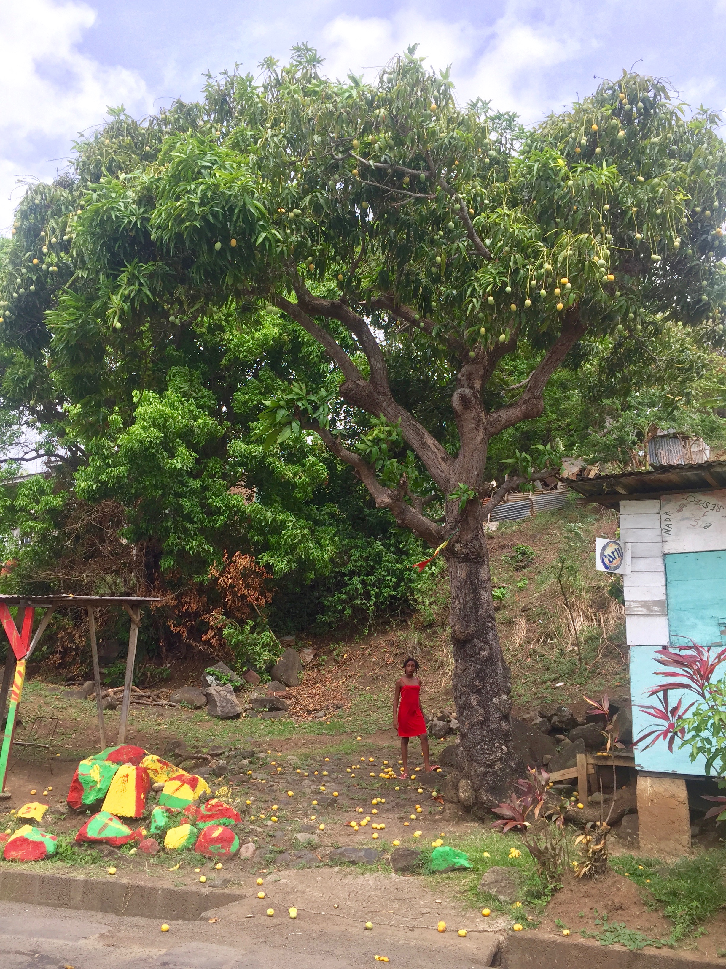 mangopuu ja tüdruk unases kleidis