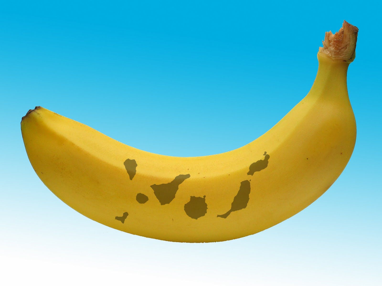 Kanaari banaan voi platano
